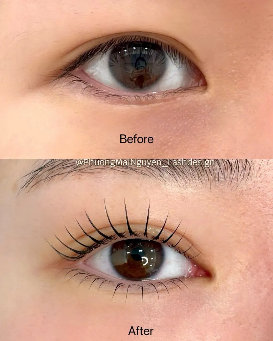 PMN Lash Studio